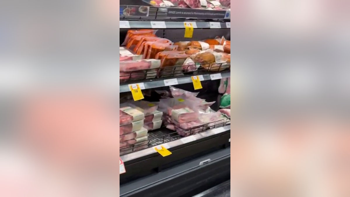 possum in grocery store