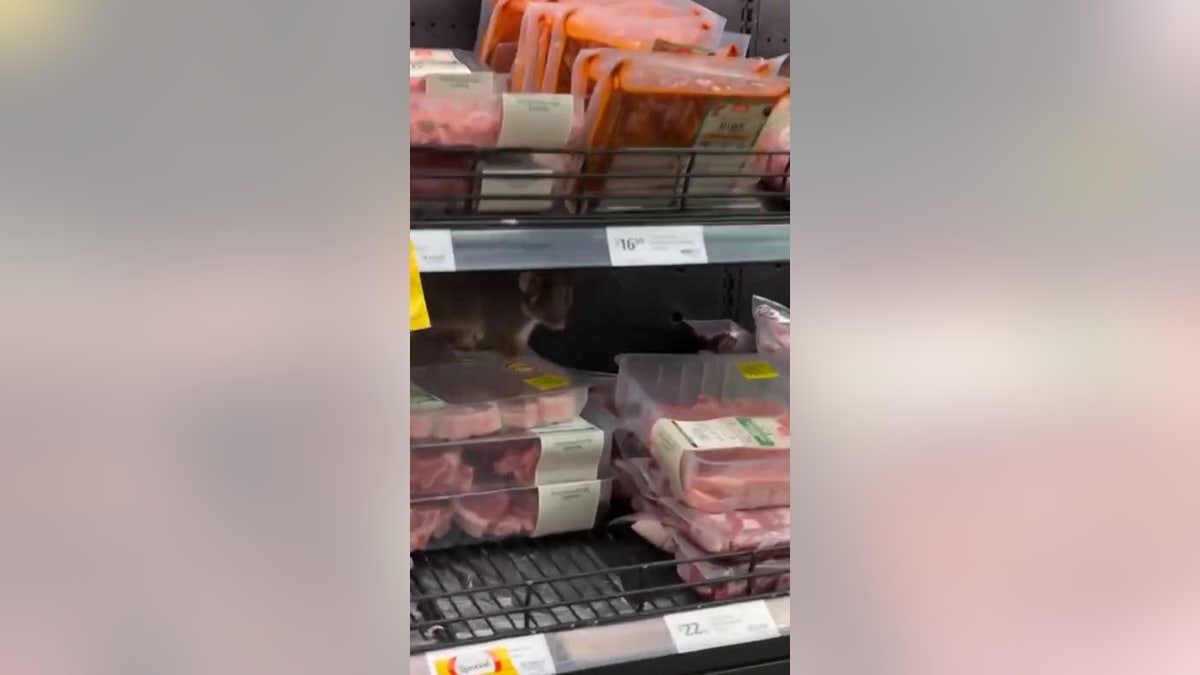 possum in meat