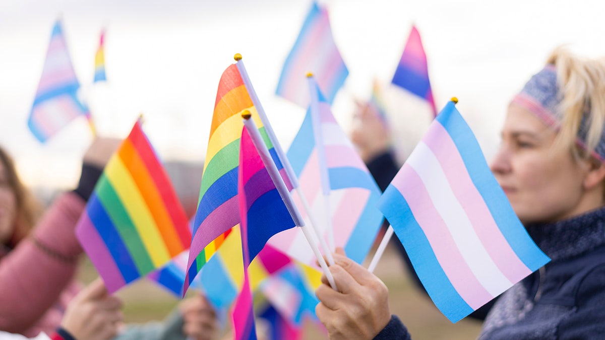 lgbtq and transgender flags held by demonstrators