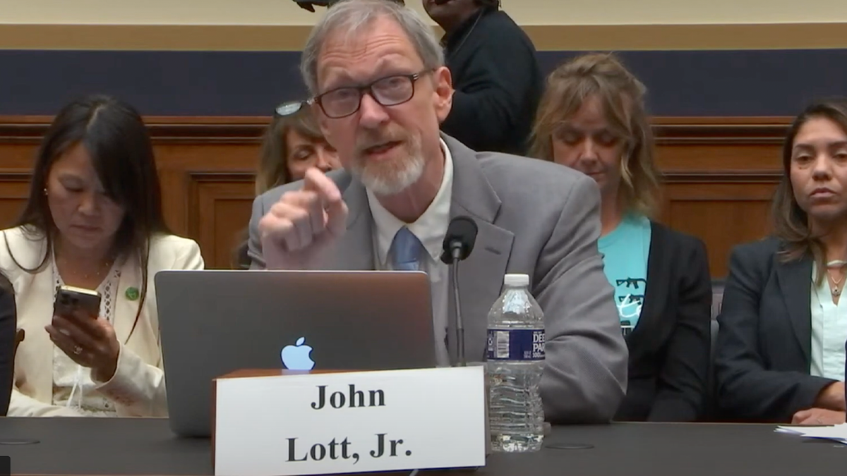 John Lott testifies 