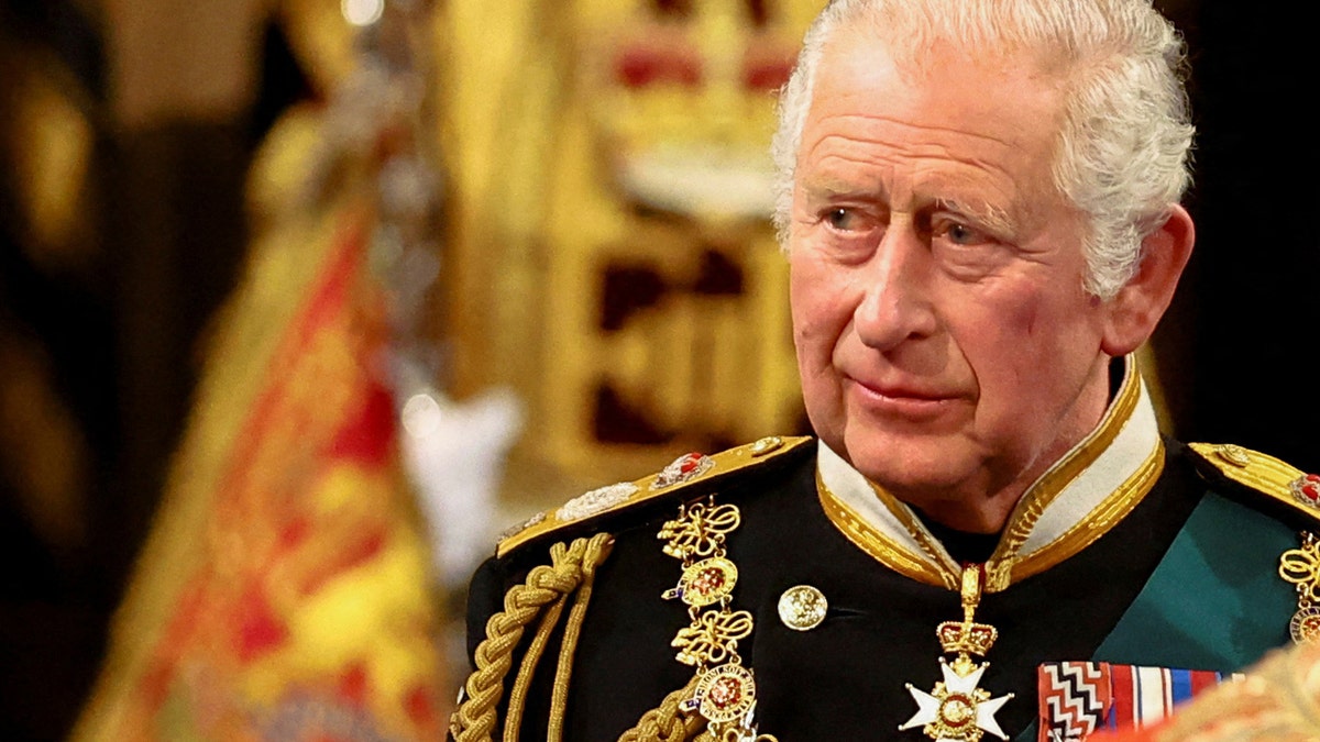 King Charles during the State Opening of Parliament 