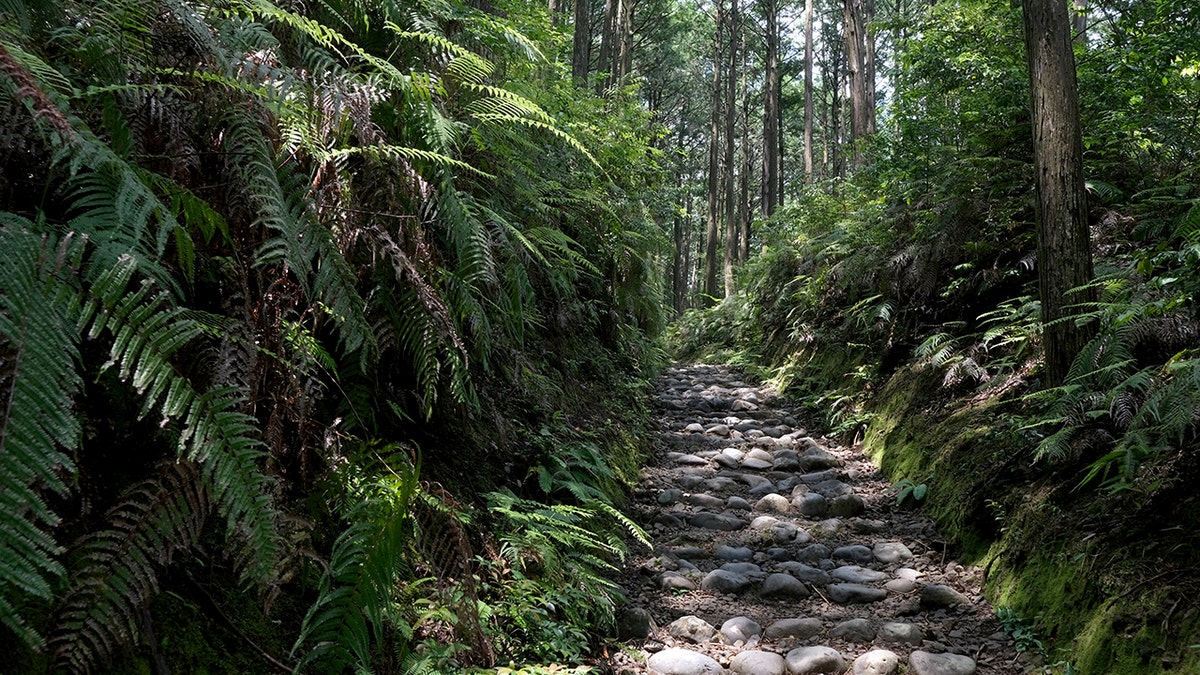 Kumano Kodo trail