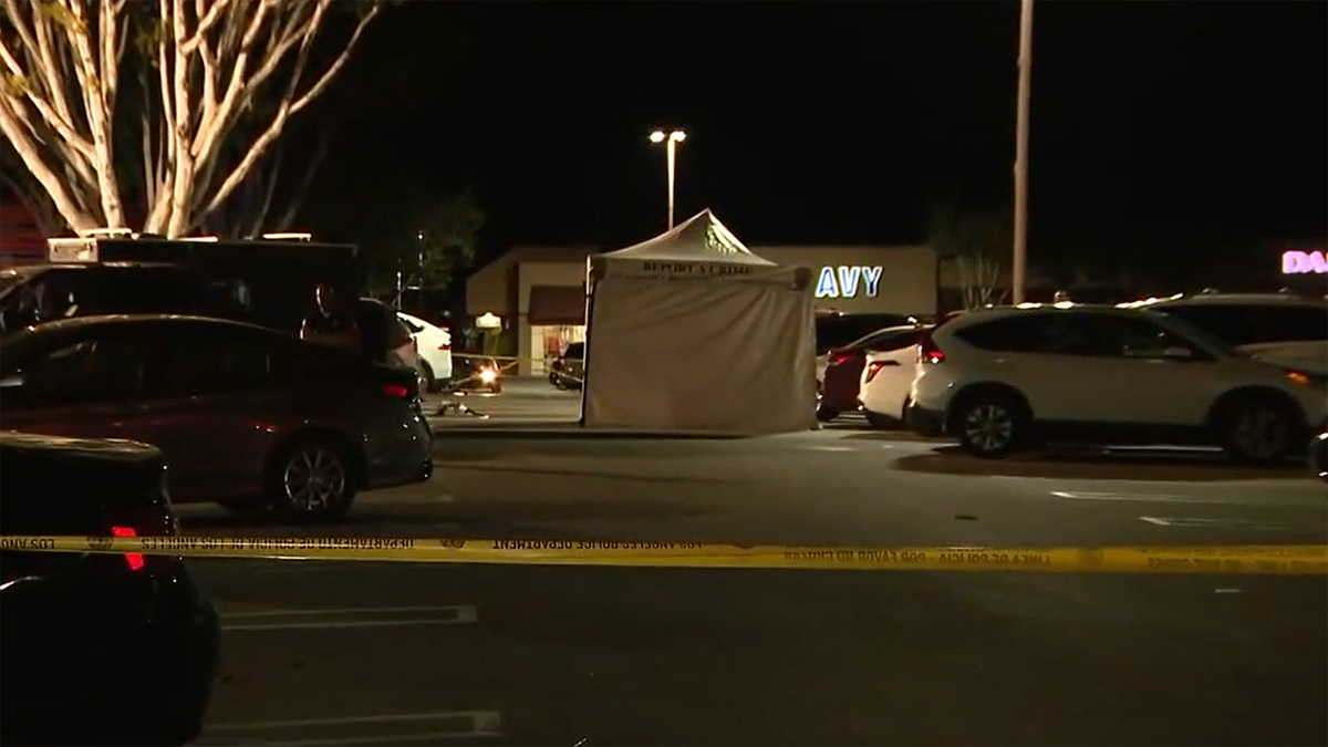 Trader Joe's parking lot shooting scene