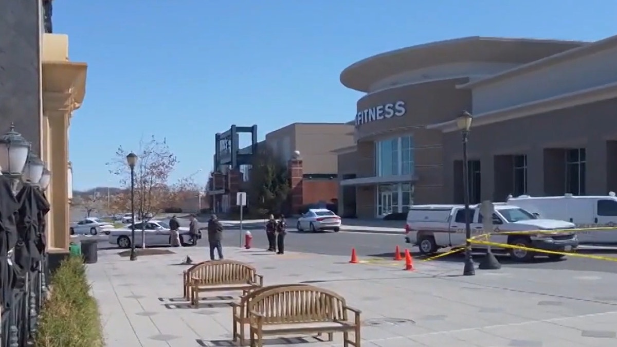 Dulles Town Center mall shooting: One injured, suspect in custody