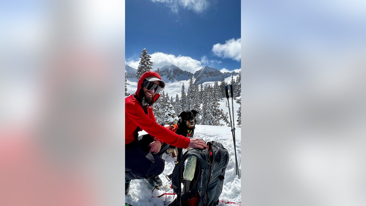 man and dog avalanche