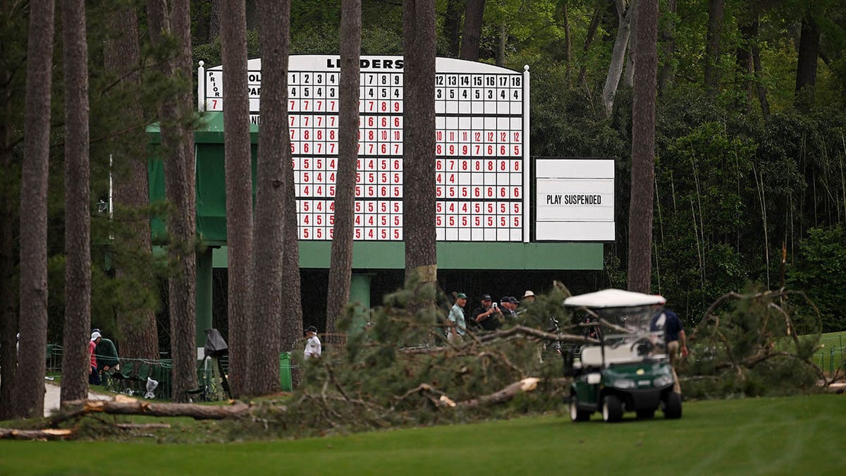 Tree down at masters