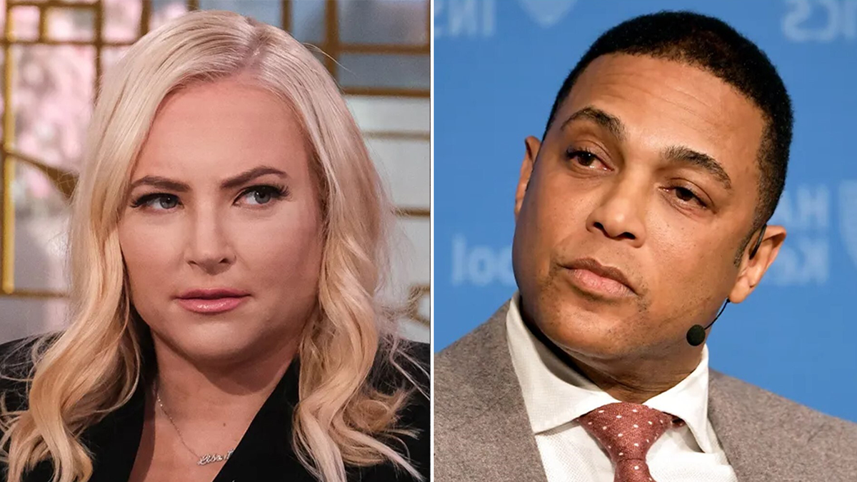 Former host on "The View" Meghan McCain went after CNN anchor Don Lemon after he was accused of engaging in threatening behavior against his former colleague, ABC News correspondent Kyra Phillips. 