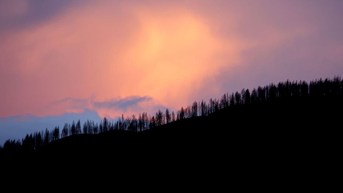 Clouds pass trees scorched by the Hermits Peak/Calf Canyon Fire on June 2, 2022, in New Mexico. After New Mexico saw its most destructive wildfire in state history in 2022, the state now plans to administer nearly $4 billion in emergency financial aid for the survivors. 