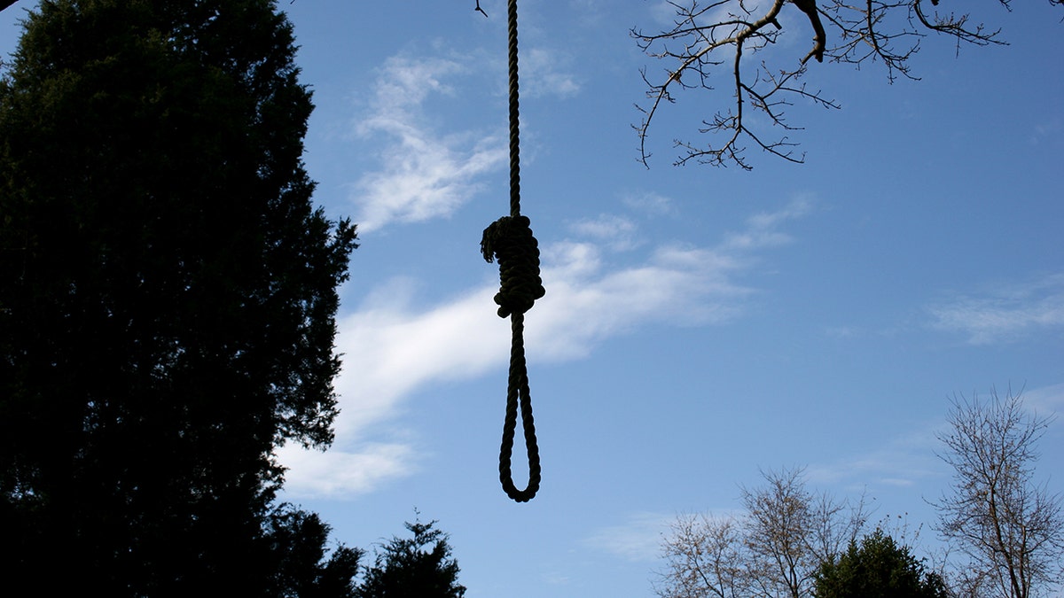 noose hanging from tree