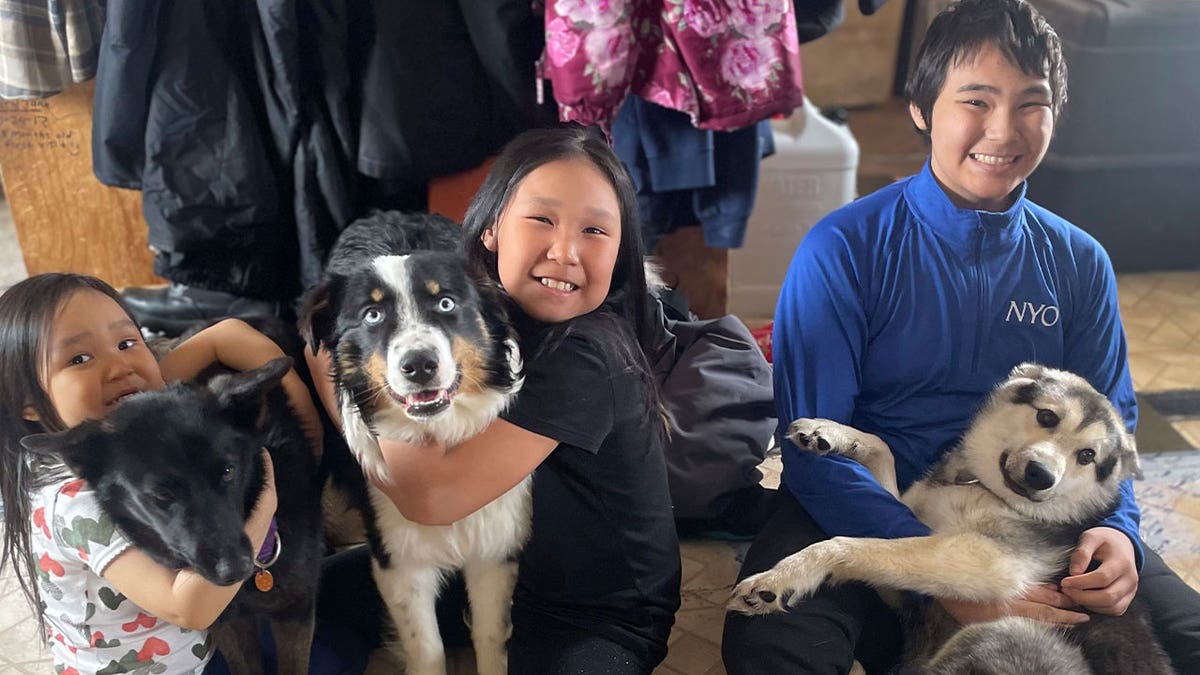 Family with dogs