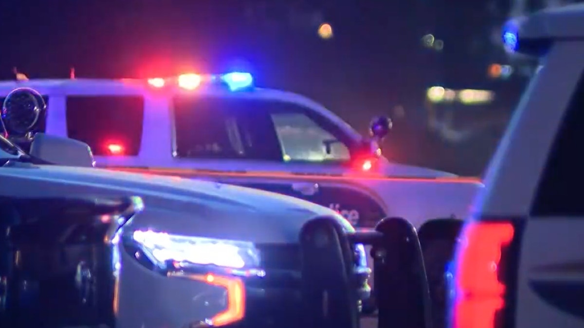 Police cars outside bar shooting scene