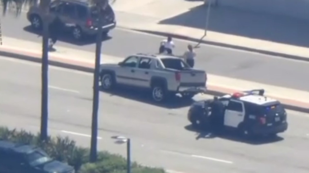 Los Angeles Suspect Throws Puppy Out Of Moving Car During Police Chase ...