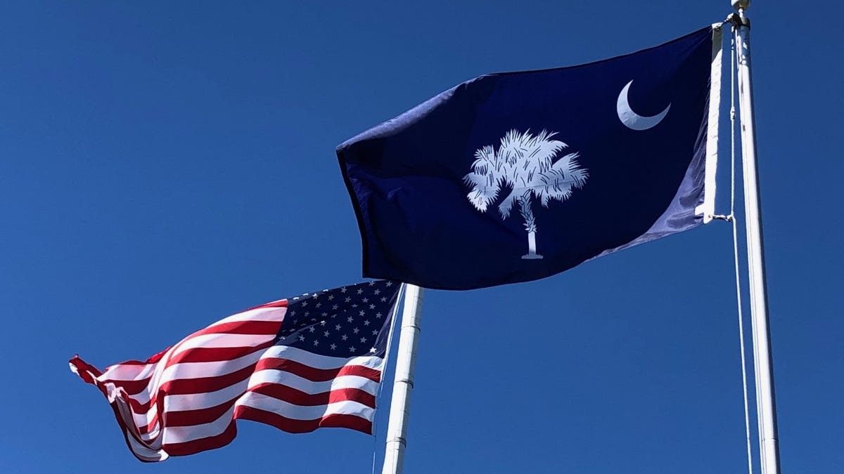 US-South Carolina flags