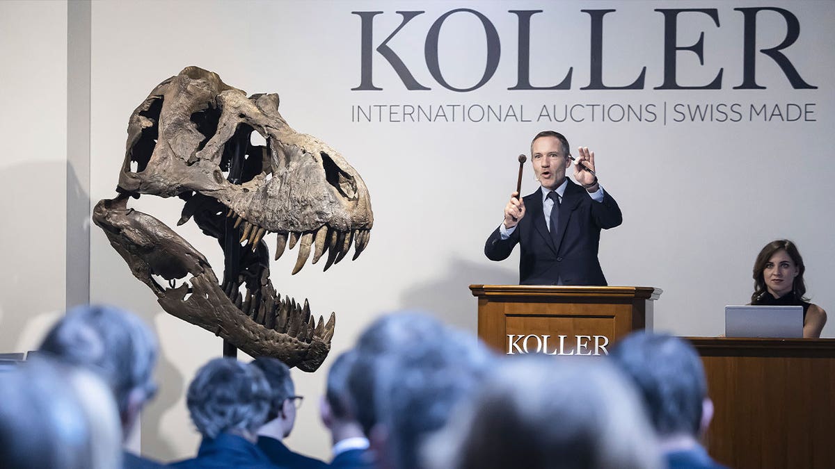 T. rex auction