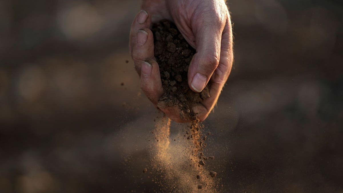 Climate Sudden Drought