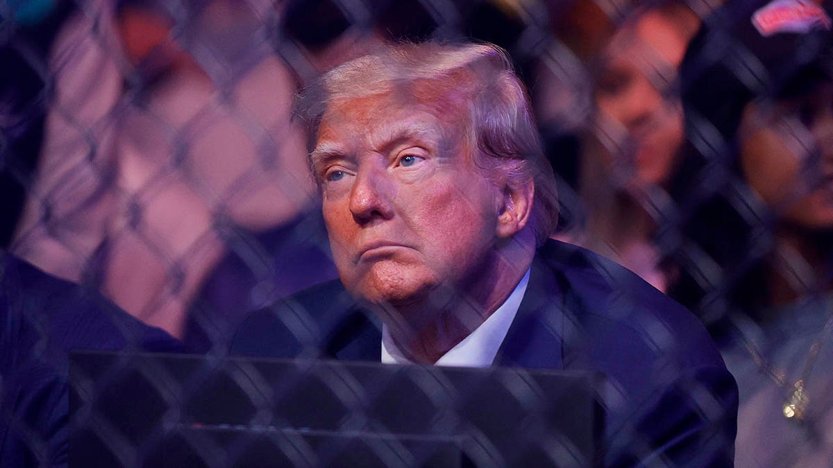 Donald Trump at UFC