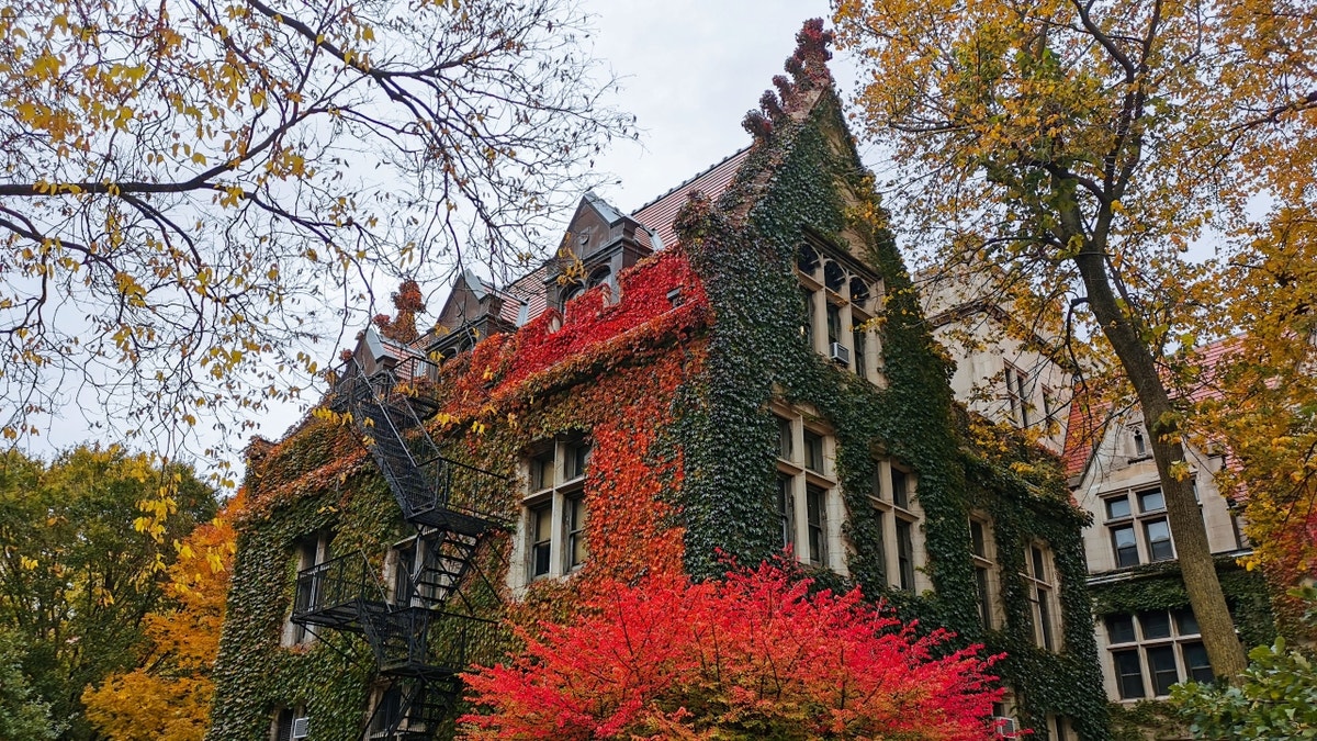 Ivy-covered UChicago building