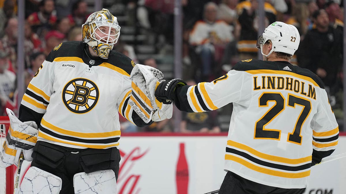 Linus Ullmark and Hampus Lindholm