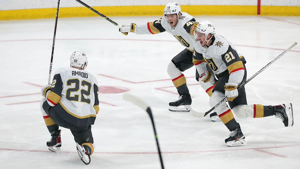 Golden Knights celebrate goal