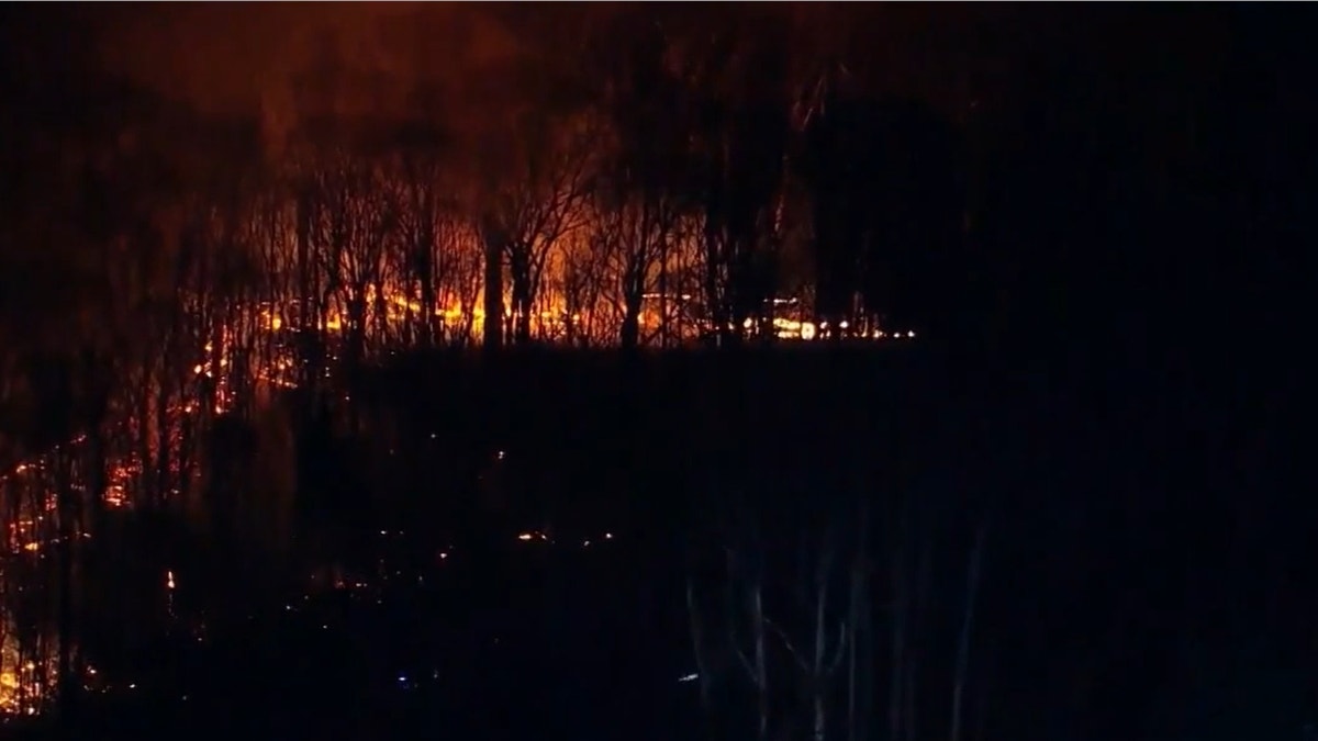 Aerial wide shot of forest fire