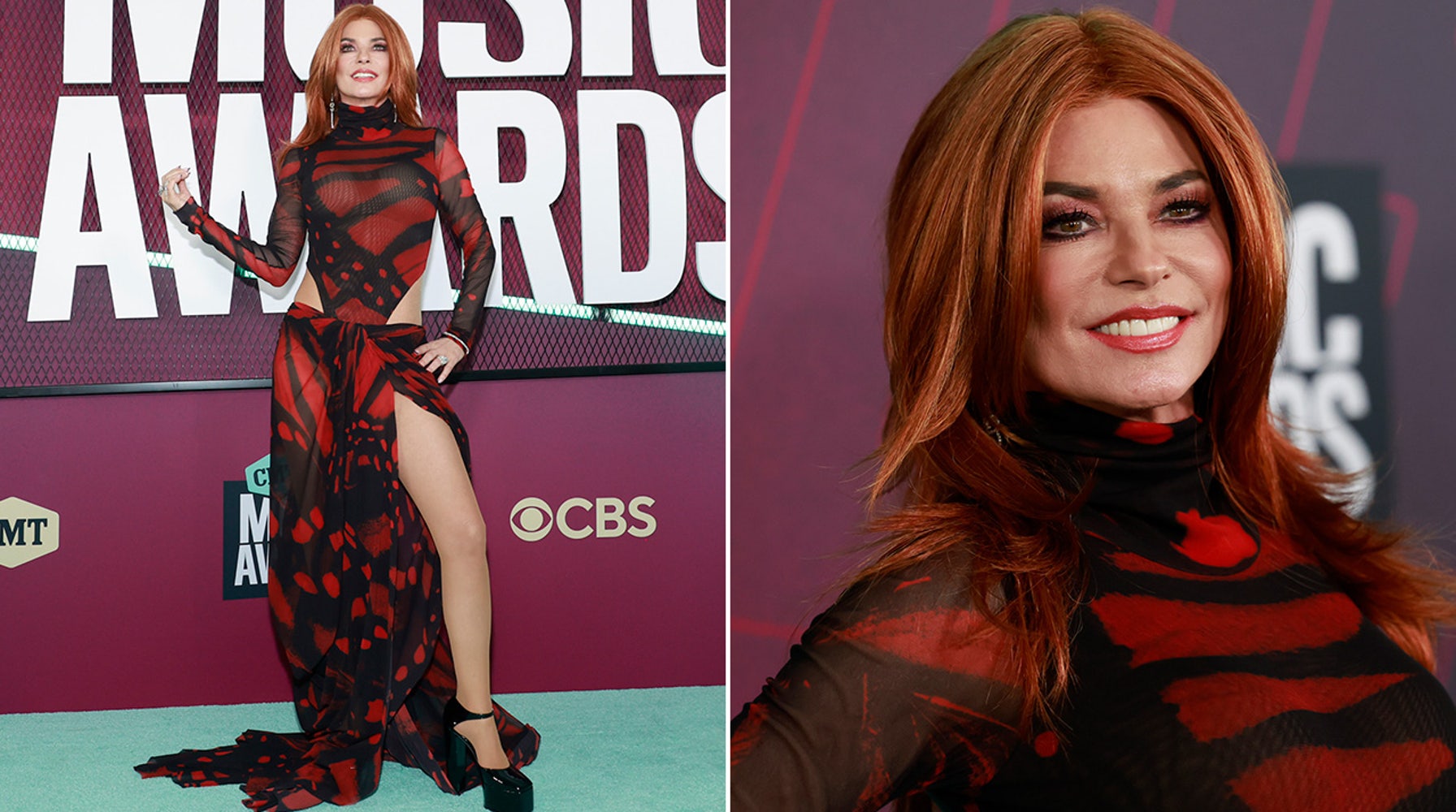 Shania Twain stands naked in front of mirror to get comfortable with aging: 'I want to know it's there'