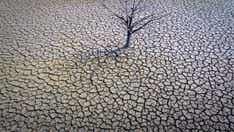 Spanish farmers warn of 'irreversible' crop losses due to drought