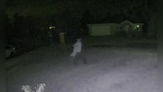 Florida teen charged for allegedly beating dog after it ran away: Sheriff