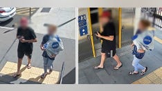 Australian arrested for bringing wild platypus on trains, showing it off at shops