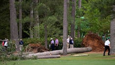 Masters suspended after massive trees fall at Augusta National, all patrons avoid injury