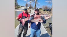 Oklahoma authorities ask fishing guides to remove an invasive species from state waters: 'Do not return it'
