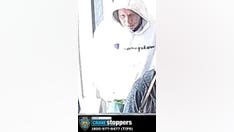 New York City bank robber puts elderly woman in chokehold for measly sum: Video