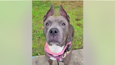 Florida family reunites with dog who spent 301 days in a Texas animal shelter