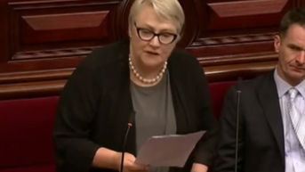 Liberal MP delivers impassioned defense of women's rights, single-sex sports: 'This is absurd''