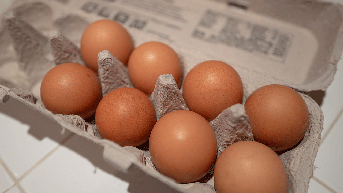 Egg shortages linked to avian flu, but that's not the only reason, some stores say - Fox News