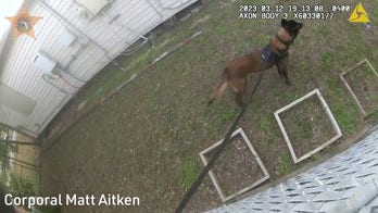 Florida sheriff says K-9 tackled burglary suspect who shot deputy 3 times