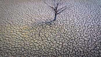 Spanish farmers warn of 'irreversible' crop losses due to drought