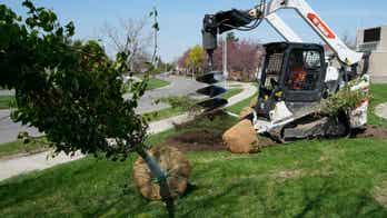 Cities across the United States making historic investments in urban trees
