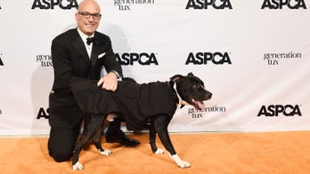 ASPCA gives 2% of budget to pet shelters while 'hoarding' millions, pushing 'anti-farmer' agenda: think tank