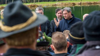 German state to allow hunters to cull wolves with less restrictions