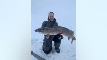 Minnesota fisherman's northern pike ties with state's 2-year catch-and-release record: 'Very large fish'