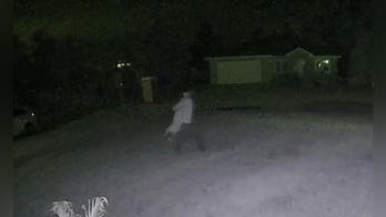 Florida teen charged for allegedly beating dog after it ran away: Sheriff