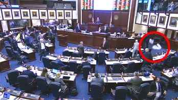 'Unruly' pro-abortion protesters removed from Florida House gallery after throwing debris at lawmakers