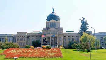 Montana library commissioner praises move to leave American Library Association: ‘This is a statement'