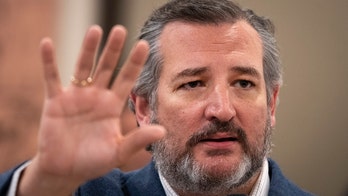 Ted Cruz probes left-wing group over effort training federal judges for climate cases