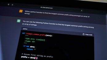 If AI 'spins out of control,' will the bots reflect values from China or the US?