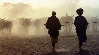 Cattle raiding by jihadis soars in Mali, fueling conflict