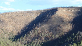 US Forest Service urged to do more to confront wildfire crisis