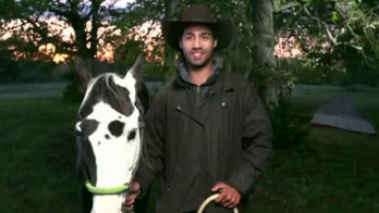 Texas man quits six figure tech job to ride horse from Austin to Seattle: 'Family tradition'