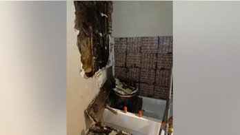 Texas home swarmed by 'millions' of bees, trapping occupants, injuring 6 people, including firefighters