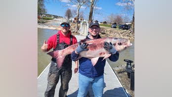 Oklahoma authorities ask fishing guides to remove an invasive species from state waters: 'Do not return it'
